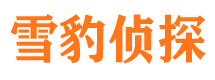 信丰找人公司